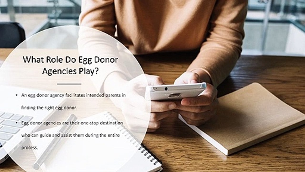 10 Questions To Ask Before Choosing Egg Donor Agencies