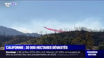 En Californie, les incendies ont ravagé plus de 30.000 hectares en une semaine