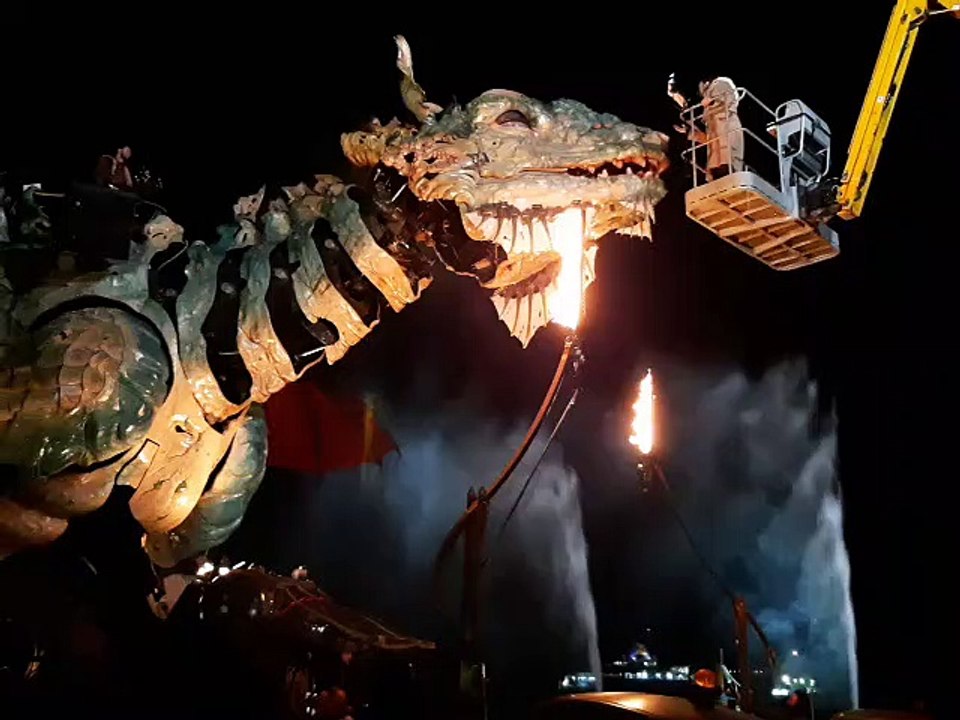 Le Dragon des mers