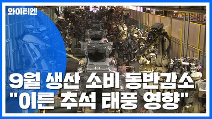 투자 늘었지만 생산·소비 '동반 감소' / YTN