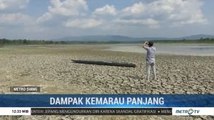 Bendungan dan Waduk di Sejumlah Wilayah Jateng Berubah Jadi Daratan