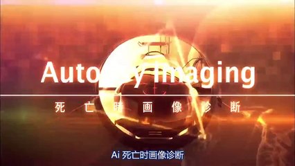 白色榮光第三季 - 第11集