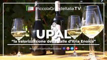 UPAL - La Valorizzazione della valle d'Itria enoica - Piccola Grande Italia