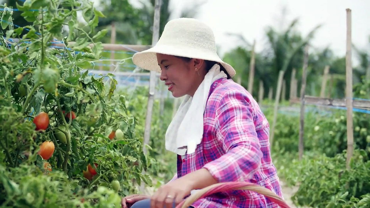 Myanmar Hymn Music Video | ဘုရား၏လူမျိုးအားလုံး ကိုယ်တော်ကို အစွမ်းကုန် ချီးမွမ်း