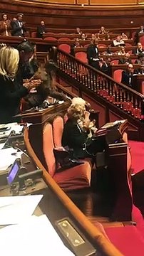 Roma - I Senatori del centrodestra si astengono sulla mozione di Liliana Segre (30.10.19)