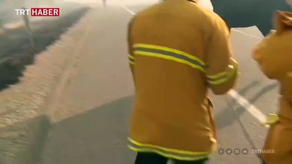 Orman yangınına aldırış etmeyen at, arkadaşlarının yardımına koştu