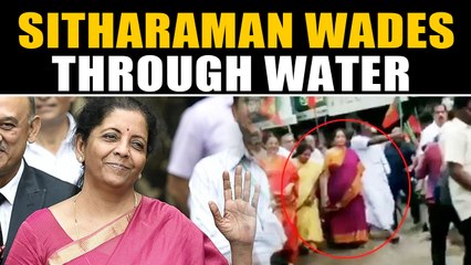 Nirmala Sitharaman wades through waterlogged street in Chennai, Video viral