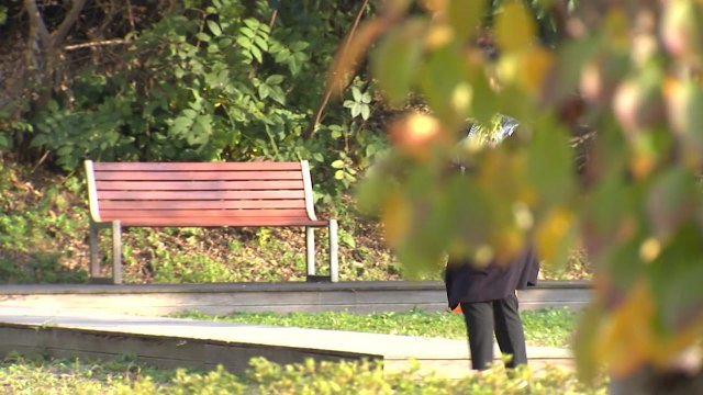 공원에서 '묻지마 흉기 난동'...시민이 더 큰 피해 막아 / YTN