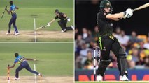 Steve Smith Survives Run Out, Sri Lanka Bowler Forgets To Touch Stumps With Ball ! || Oneindia