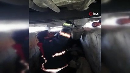 Otomobilde sıkışan köpeği itfaiye ekipleri kurtardı