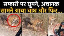 Jeep के सामने जब अचानक आ गया Tiger, Driver की हो गई बत्ती गुल, देखें Video | वनइंडिया हिंदी