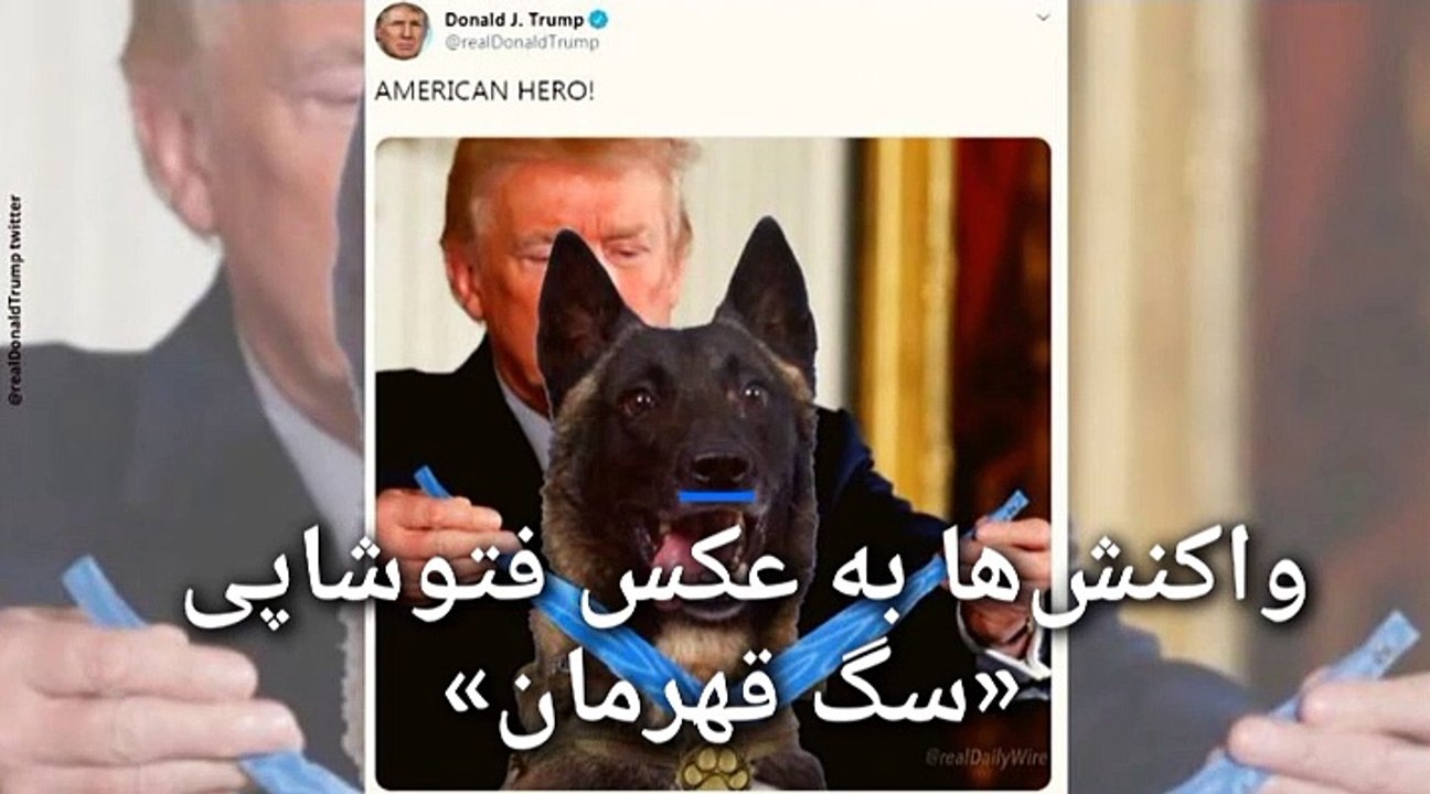 واکنش‌ها به عکس فتوشاپی «سگ قهرمان» در حال دریافت مدال از ترامپ