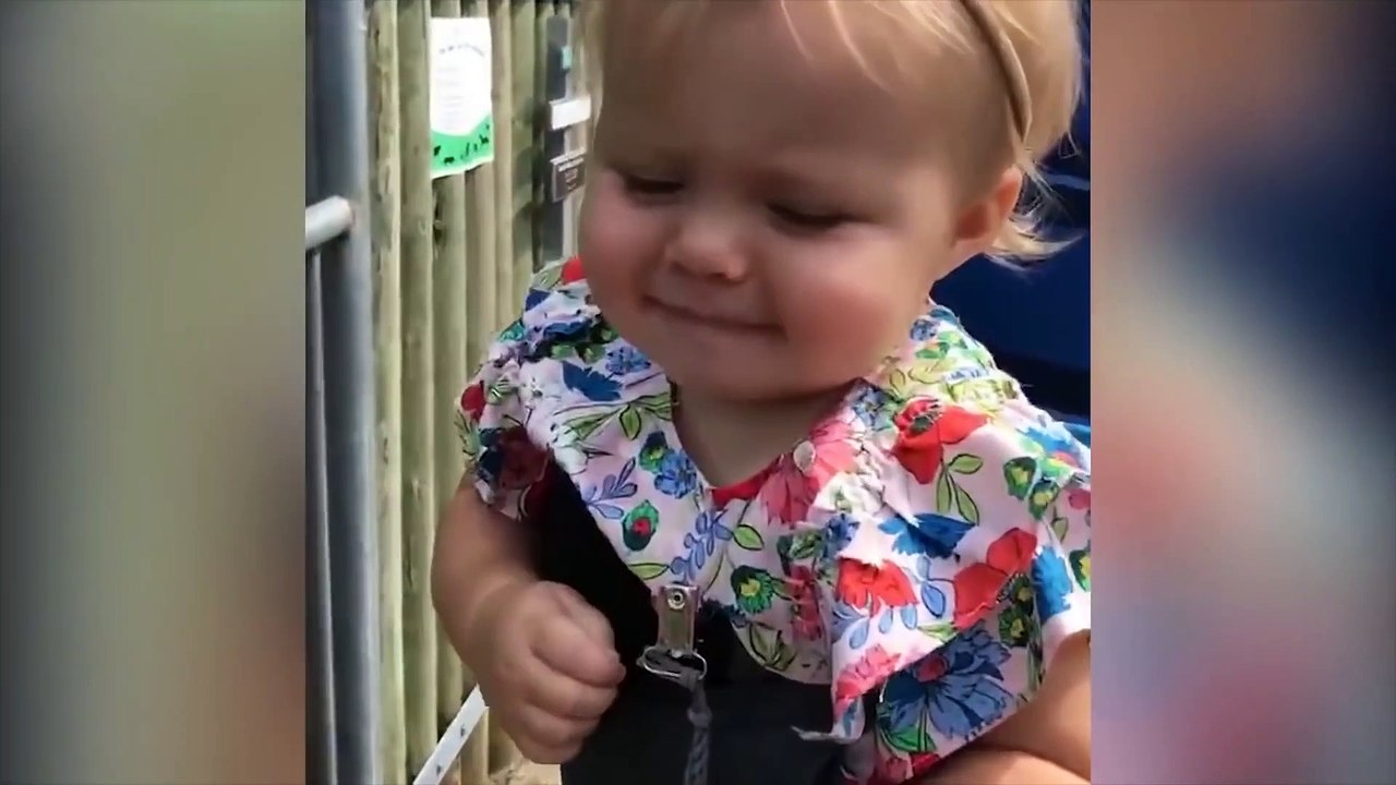 Baby's First Meeting With Animals - Funny Baby Outdoor