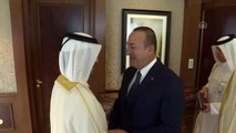 Bakan Çavuşoğlu, Katar Başbakanı Al Sani ile görüştü