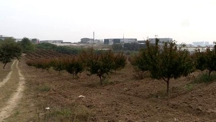 Araziyi dublörle alan dolandırıcıların foyası satışta ortaya çıktı