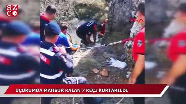 Uçurumda mahsur kalan 7 keçi kurtarıldı
