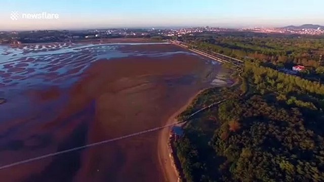 Tens of thousands of seagulls gather on Chinese wetland during autumn migration