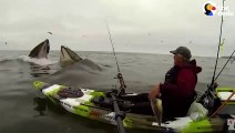 Ce pêcheur en kayak va avoir une belle surprise...