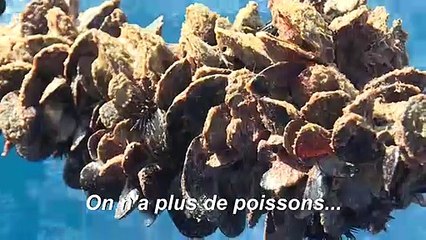 L'aquaculture, seul horizon des petits pêcheurs marocains en Mediterranée