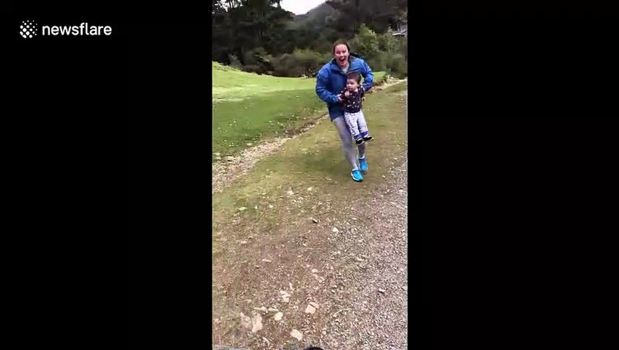 Un bélier charge un enfant