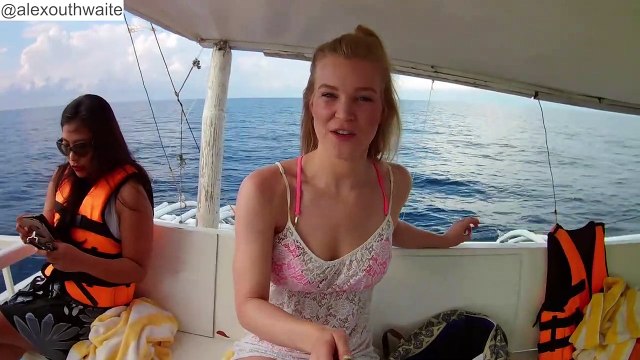 Philippines Diving, Dolphins & Beaches - Philippines Vlog Part 3