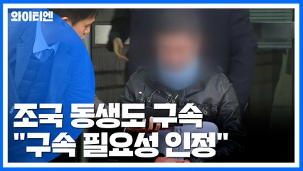 조국 동생도 구속..."구속 필요성 인정" / YTN