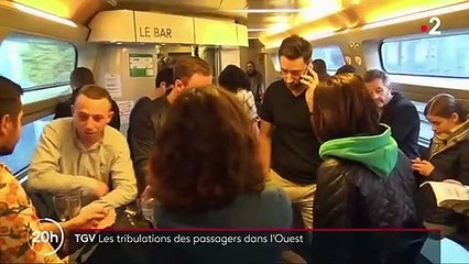 Grève SNCF : tribulations des passagers dans l'ouest de la France
