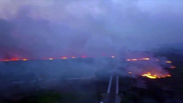 Incendios de proporciones nunca vistas devoran parte del Pantanal brasileño