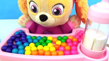 Скачать видео: Paw Patrol SKYE Comiendo Gumballs Arcoiris en Su Silla Mágica