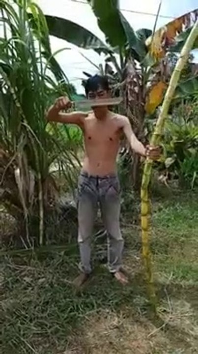 invulnerable person.  Being cut down by a machete is fine