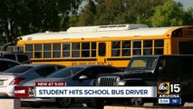 Brawl between student and Mesa school bus driver caught on camera