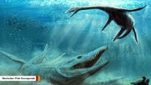 Scientists Discover Remains Of 150-Million-Year Old Sea Monster