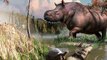 Ancient Rhinos Once Roamed Canadian Forests