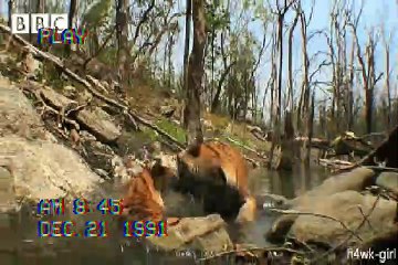 MVGEN: Azam Khan : Jibone Kichu Pabona Re