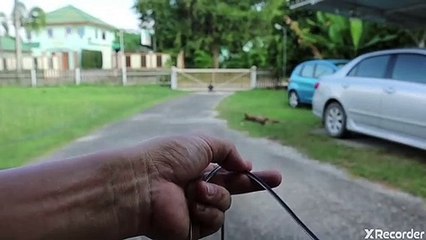 ทำไมไฟฟ้าบ้านถึงใช้กระแสสลับ (AC) มากกว่ากระแสตรง ⚡