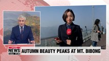 Autumn beauty to peak at Mt. Bibong in city of Jecheon