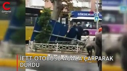 İETT otobüsü ağaca çarparak durdu