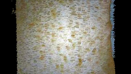 #relaxationmusic #meditationmusic Reliever which you can listen to before or after work or studying.