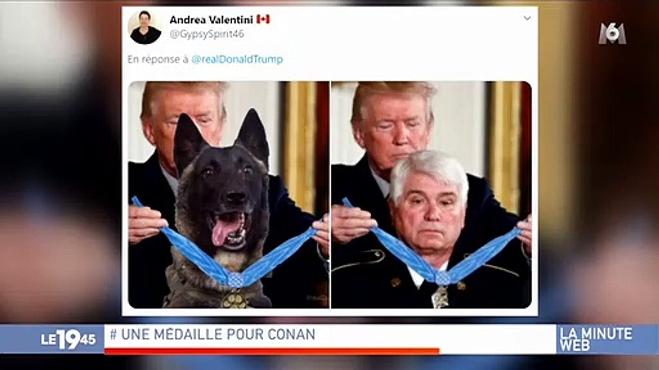 Un touriste britannique fait une drôle découverte dans les toilettes d'un hôtel lors d'un safari en Australie: Il se retrouve face à ... des kangourous !