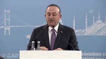 3. İİT Üyesi Ülkeler Arabuluculuk Konferansı - Dışişleri Bakanı Çavuşoğlu (2)