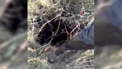 Su kuyusuna düşen düve, 3 saatlik operasyonla kurtarıldı