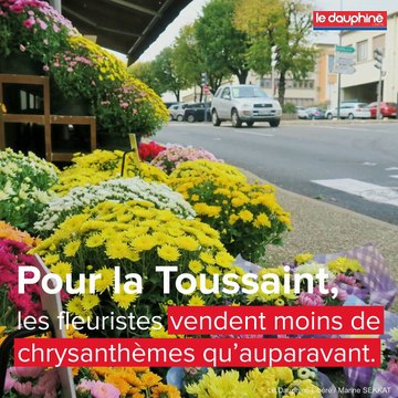 Les chrysanthèmes perdent leur succès à la Toussaint