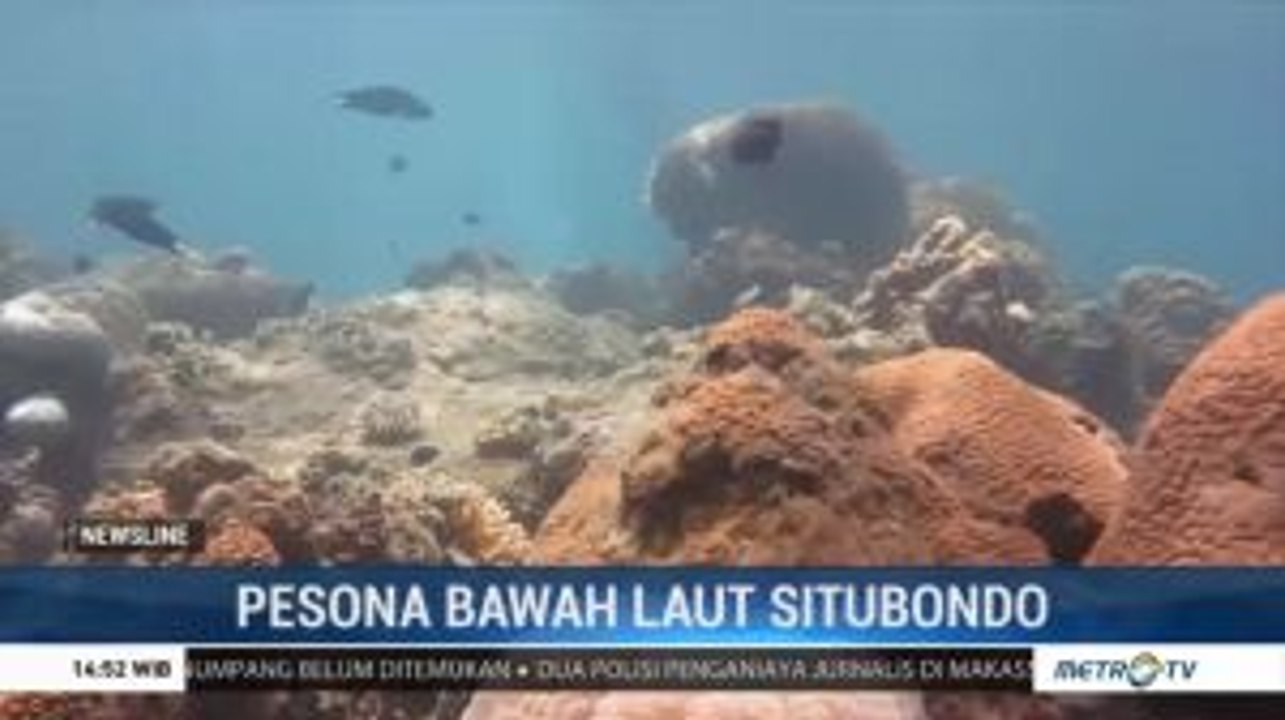 Pesona Bawah Laut Situbondo