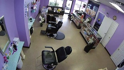 Ce faon entre en cassant la fenêtre dans un salon de coiffure !