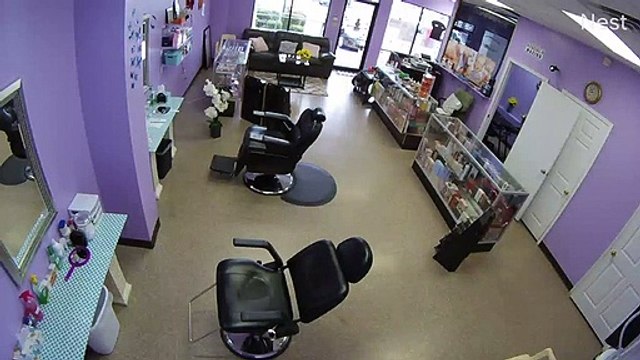 Ce faon entre en cassant la fenêtre dans un salon de coiffure !