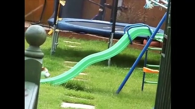 Compilation des meilleures vidéos buzz de l'année 2019 !