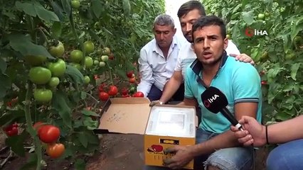 Canan Karatay ''sofrada yeri yok'' dedi, üreticiler ayaklandı