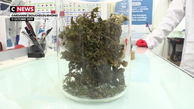 Biotechnologies : Deux start-up françaises qui utilisent ce qu'offre la nature