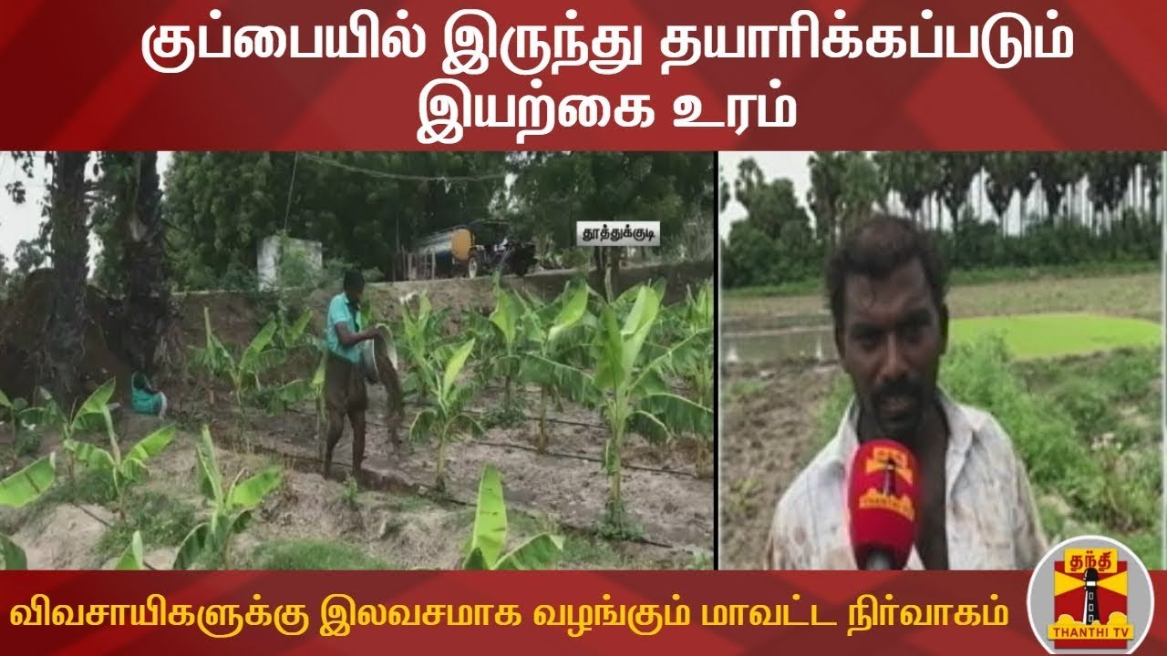 குப்பையில் இருந்து தயாரிக்கப்படும் இயற்கை உரம்...