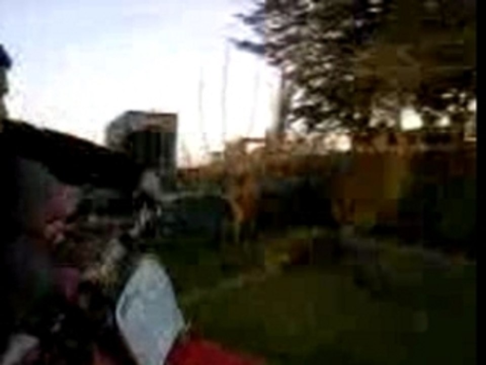 elvira en motocross (avec le son )